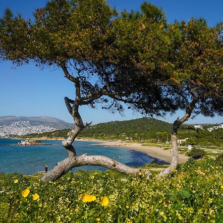 Secret Aktis By Blupine Daire Atina Dış mekan fotoğraf