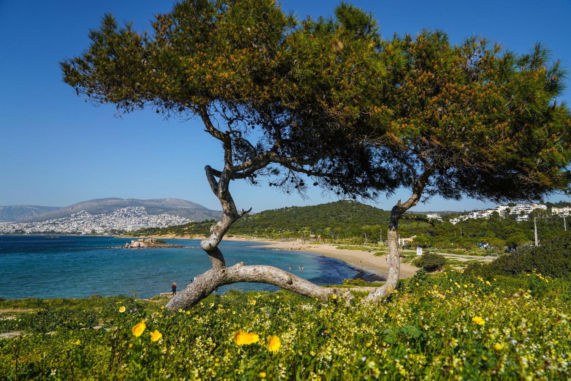 Secret Aktis By Blupine Daire Atina Dış mekan fotoğraf